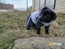 oboinS_4ilup3gi0UZZorjORJPEGkdJlE29JxMN8iIsWUby2MNYfA8vEMzD002mRLms3FqJNwq9-3-EoMkOUv7tx