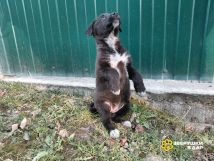 Uu7u72HleQpEWISBHPEVJm268NO2tX7vj0FHRMpyamDsBegjmxSMX5njAjiiDC1ZKNvEJrYG_jyGdyzkyTdPF395