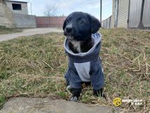 WLtmzcBiE25bW2DsDO2oC7elMbKE6dfIlKx6y4N1D1FsE7y_YyO9hh3zQxItfhFZ_cbbiGWJ6ircBHGmZW5bso4x