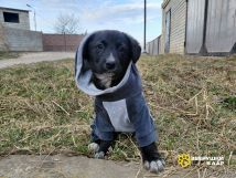 XoqJUfcPOd-ywV-2EfQxyLiEwYi1mSQn6yjJKRA62_5nmMPL95GEP-7_gnUfUrvTo8s_UjkoIZ8LABYCU2T0mAEa