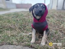 2Wnjjyy9lgXBofUs79ivoROA1Ka8Ql13EYl2ahlOQE6TKp_QtG1VqHljURDOOh1VlRYaeoOO6e_D7XaRZvjY571M