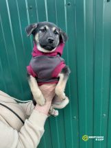 D2aE6b8zpaEpBxoKMzQEbpabeKj4CVYxCKpLIBxNKH46b3_k9uTjCcvCcuAn8NIu_G0hOLeRzU2sWTOAyZgYFtBB