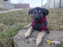 nlSC2O_ofGop1a2KsWHJmyJaxuKjeNs_kq24aa_1ChmlFeJ6IRooW7XDPIdvQwl-5b0S-pilnw1hHLbmFTzkI0a5