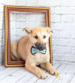 IMG_20260407_143953_789