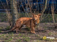 Id8pxr7BfW7WMW1Xbe7MgBEitRAQ3MJtZUC5XkrDgxmjLtGIwU0AwYKB_br9khW4uFYrjsC7OhuJ46Agn6fKeG23