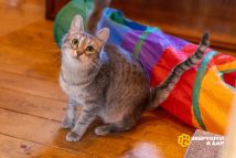 FgE-GpcJYOCamPPYAXUyioaB6_w5qsbHbQmUOKIWpC8BDEpb1kMjOPKA7g0PAob6ZqD98n8-7_yp1Lc51pr9eX7b