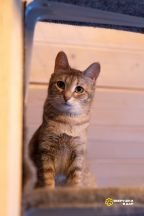 ogGIWfDpElIgcxxEplQEMEYiYcs9C__WQSVAeWBqT64SuMjszWb-CJ19DA_MaPxn5nVmHZAF0X7LYiPjkv8cuMJr