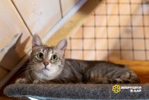 sQt9k3V68x-FjqMMmp04n2gr_pC1YL26PHLHhbpVn7WkX9xijVTFmUSyPPipil-Mg8hJ_S3H7W4c3tvBHfdB-jpn