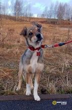 2QBliej5ZbL6z6pipa8nlC4LSTy1XnQFikKw1e9txFJLwGzVV2xmlISp1OpTvY-hAV1A2fEGvqScaTplZYNVv7T-