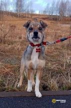 3J2oXLWoCkMKdJx7l2R_j_-xt-U_W2xBiDbbGt_BKYFdQFjb-cJxFBuU0gPPf1AWf_GsSYCsodjHmzL1DLRO0MiU