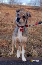 DPdJaNsap7d2L_FErExEiSE5WTGt9i9IGfbErhaLcRuDbzvBB_sxe-9tcxz5D_iW7ItQtoXgXn1-a2psa02AE1FB