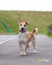 IMG_2250-Edit-1