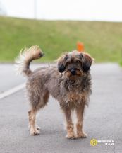 IMG_2332-Edit-1